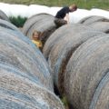 Child between giant rolls of hay.