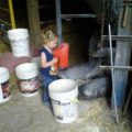 LIttle girl surrounded by feed buckets.
