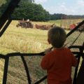 Small boy looking at field from tractor seat.