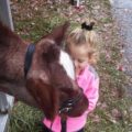 Little girl petting calf.